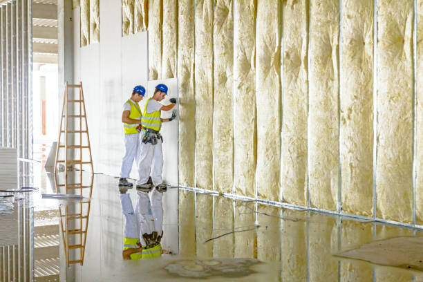 Best Garage Insulation  in Bemidji, MN